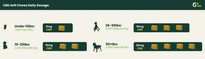 EASE Joint & Hip Plus CBD for Pets Green Gruff