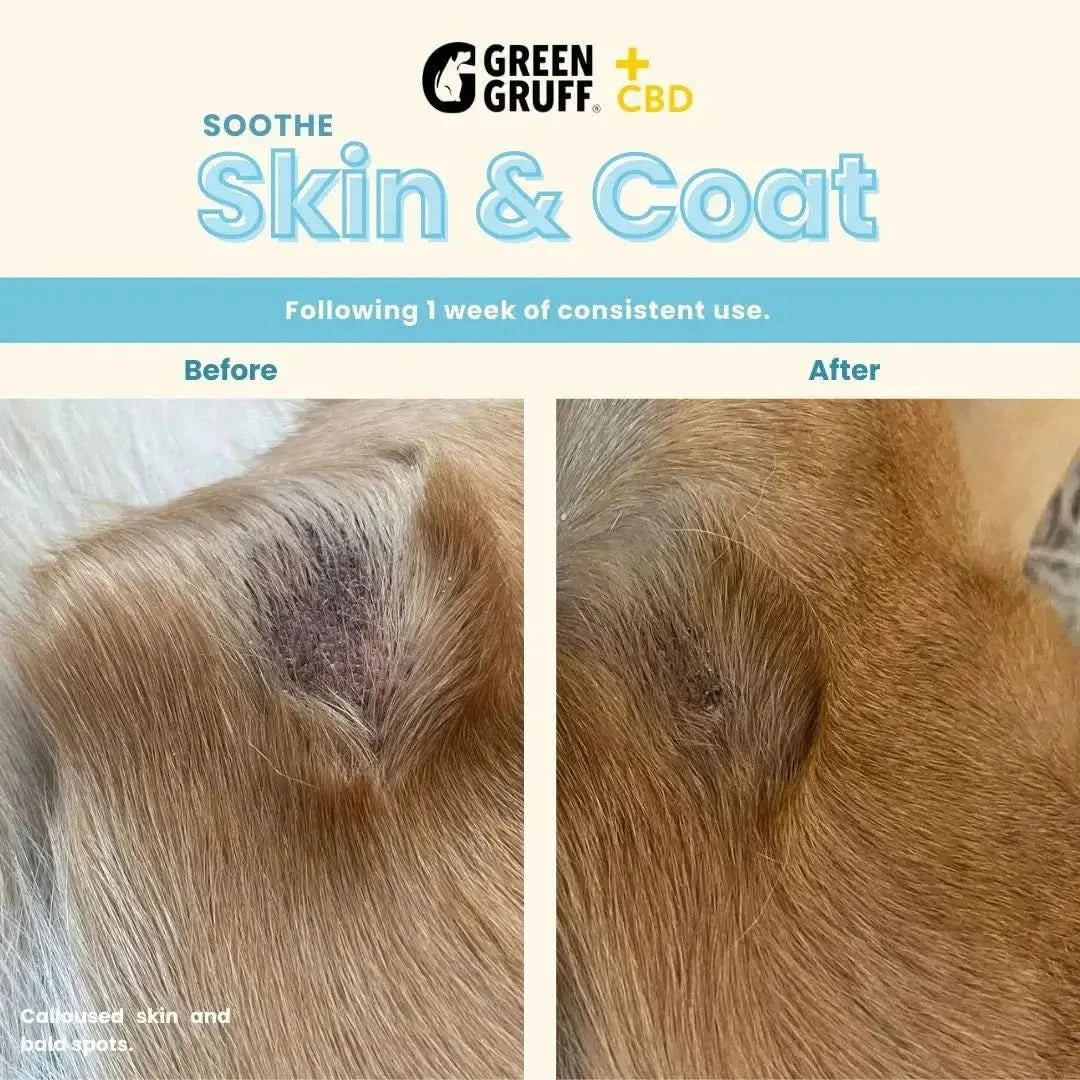 SOOTHE Skin & Coat Plus CBD - Bag | 24 Chews | CBD for pets Green Gruff