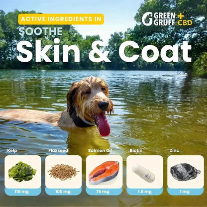 SOOTHE Skin & Coat Plus CBD - Bag | 24 Chews | CBD for pets Green Gruff